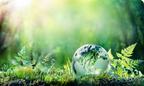 medio ambiente